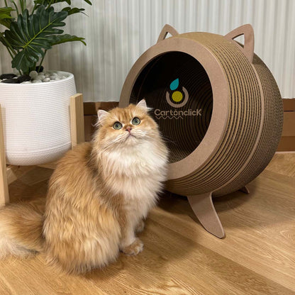 CASA PARA GATOS CON RASCADOR MODELO ESFERA