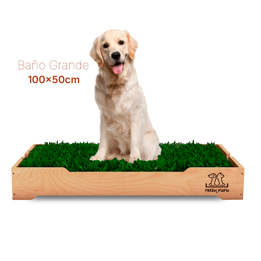 BAÑO DE GRAS NATURAL PARA PERROS