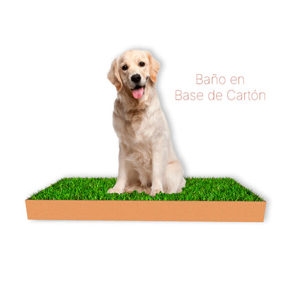 baño de pasto para perros