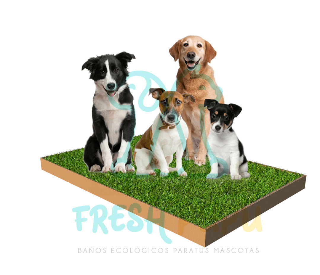 BAÑO DE GRAS PARA PERROS EXTRA GRANDE 150cm x 100cm